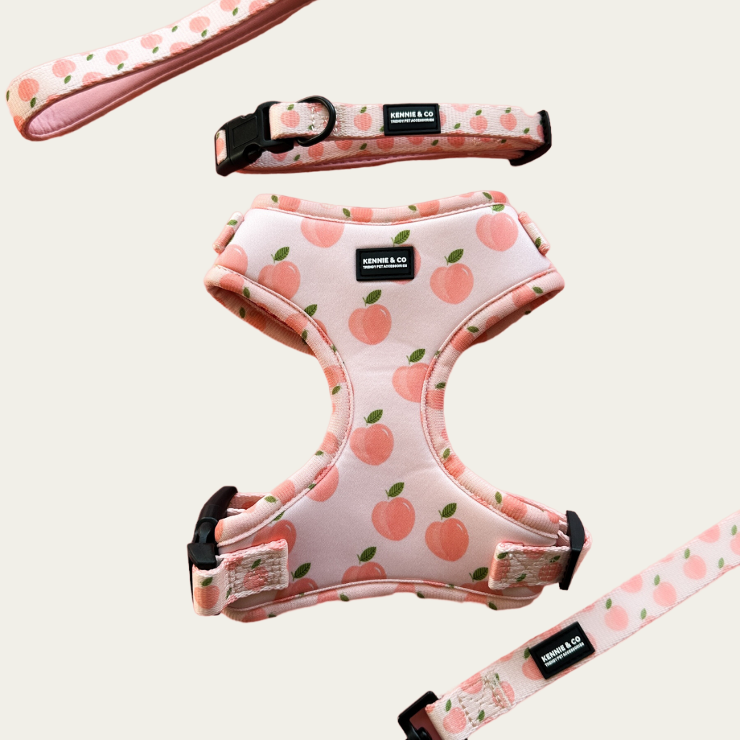 The "Peachy" Full Set Peaches Pink Dog Harness Collar Lead kennieandco