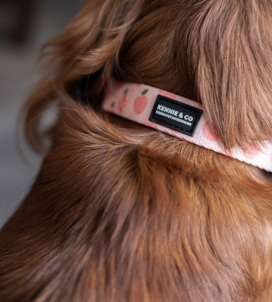 Collars