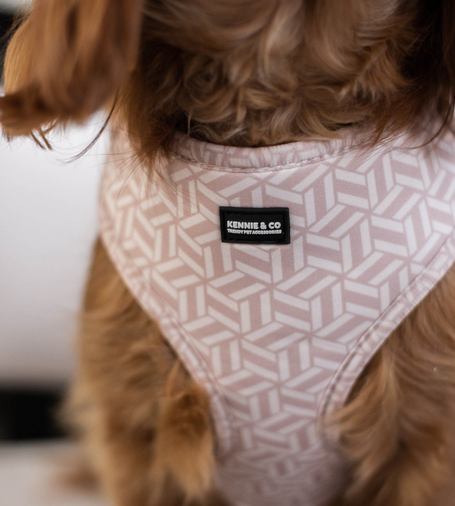 Harnesses